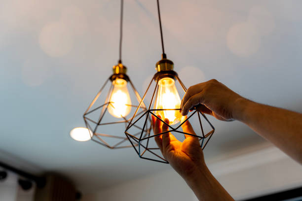 Best Electric Panel Repair  in Broxton, GA